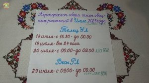 Лучшие дни для сбора семян овощей в июле!