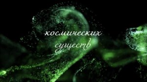 ЛизаПроектNeo3