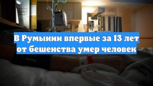 В Румынии впервые за 13 лет от бешенства умер человек