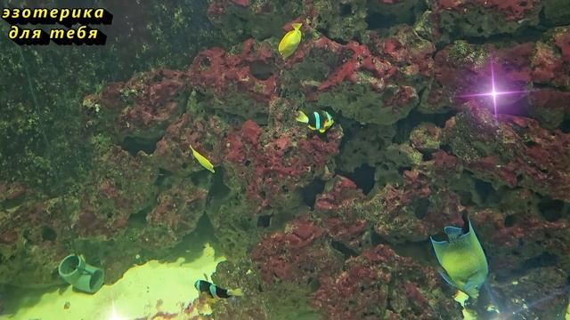 14 марта Полнолуние. Коридор затмений. Тьме конец! Что д смотреть онлайн