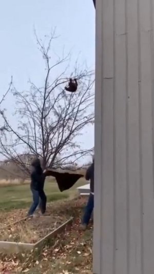 Спасение медвежонка,который взобрался на дерево 🌳❤️👍🐻