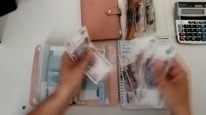 #24 РАСПРЕДЕЛЕНИЕ ПО СИСТЕМЕ КОНВЕРТОВ. 30 900 ИЮНЬ. УНИВЕРСАЛЬНОЕ ПОСОБИЕ _ Жизнь после хрущевк