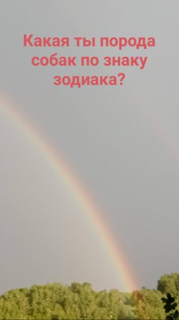 УЗНАЙ, КАКАЯ ТЫ СОБАКА ПО ЗЗ "часть 1"