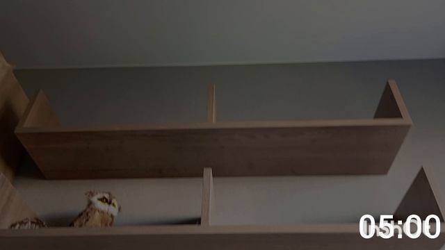 Пять Ночей С Мишуткой исполняется Год! смотреть онлайн