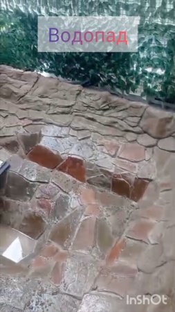 Как огурчик!