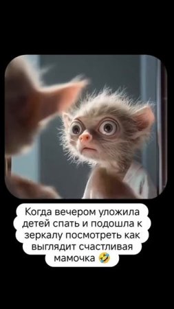 😂😂😂