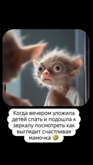 😂😂😂