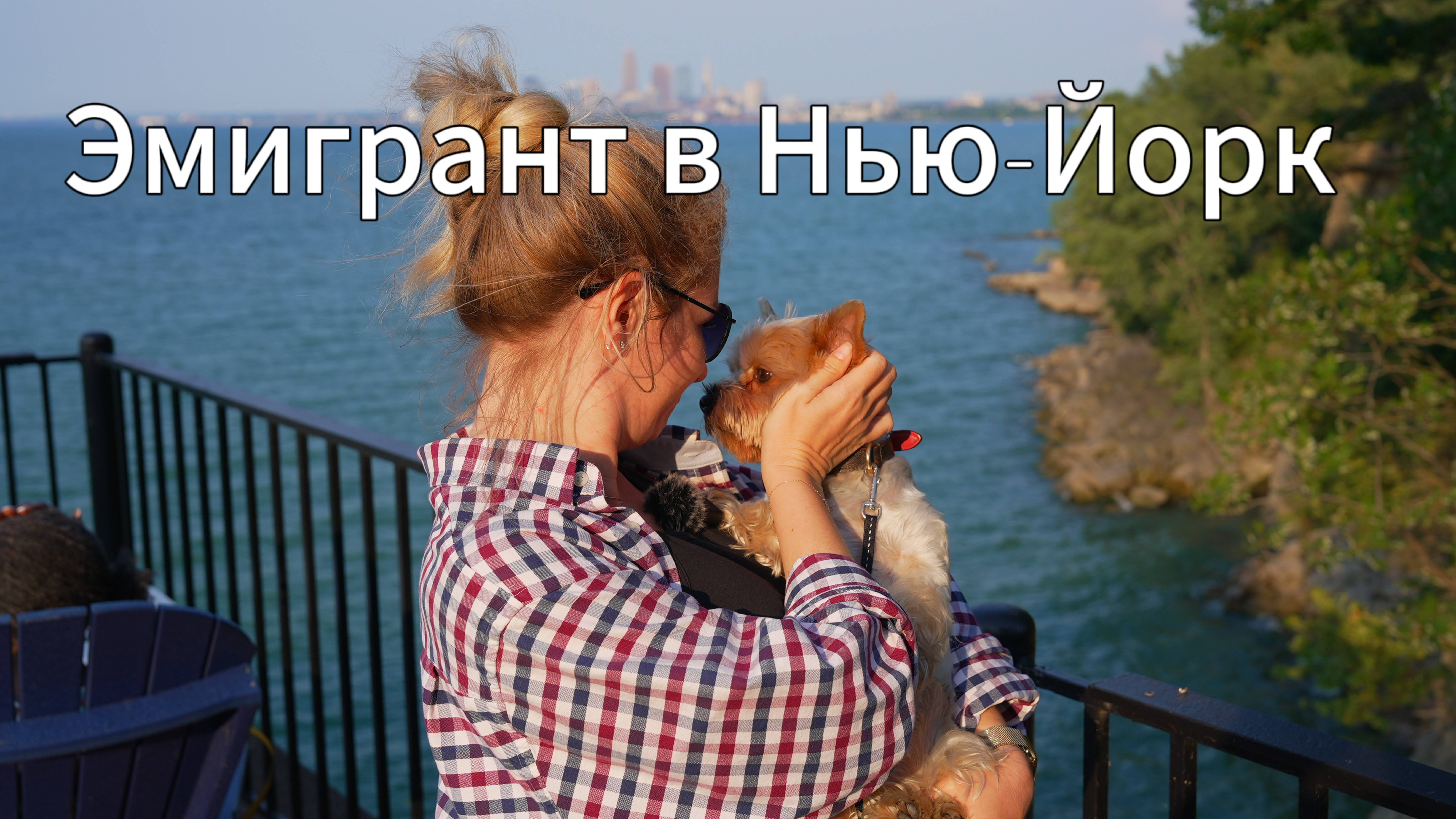 Йорк из Челябинска: как я ОПИСАЛ ПАЛЬМУ в НЬЮ-ЙОРКЕ 🇺🇸🐾 #сезонконтентаRuTUBE #америка / 1 серия