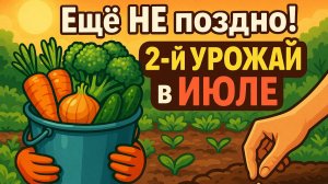 Что ещё можно посеять в июле? УСПЕЙ собрать второй урожай до осени! ТОП-15 культур
