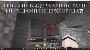 баг моменты в геймплее модифицированной 1.12.2 с модами :/