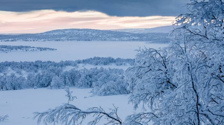 Аня 1991 год смотреть онлайн