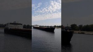 1000046560.mp4Волга.17.07.2025г.