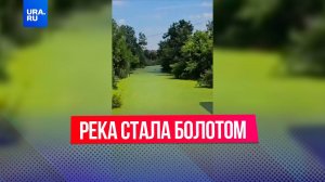 Зеленая пузырящаяся река в Ростовской области: жители бьют тревогу из-за экологической катастрофы