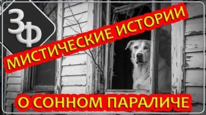 261 Мы всегда стараемся найти всему объяснение, но иногда его просто нет | Истории Наших Зрителей