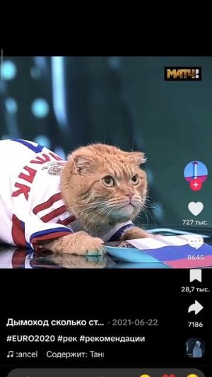 куда кота игнор в ад лайк подписка в рай