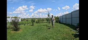 Лучшая катушка для триммера за 180 рублей!!!