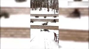 Всячинки