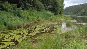 Сплав по Сылве на байдарке.mp4