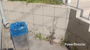 Вяжу и работаю, мотивов становится всё больше 👏👏👏
