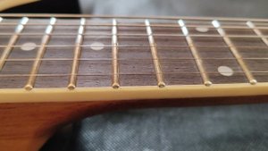 Обзор доработанной китайской реплики Gibson ES-335 Tom Delonge