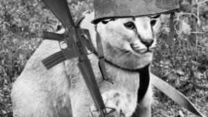 Вторая часть вырасти сад