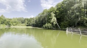 IMG_0708
