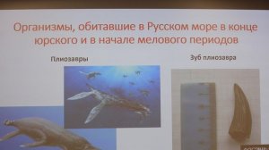 Moscow_Zaradje_festival_RGO_Aleksandr_Areshin_Velikij_jacher_podmoskovja_6I9A4915_15_Jul_2025