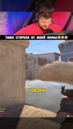 Че за дельфины ?!🤣