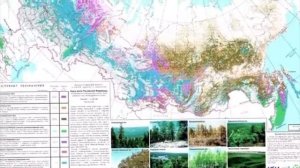 Лес тайна происхождения.