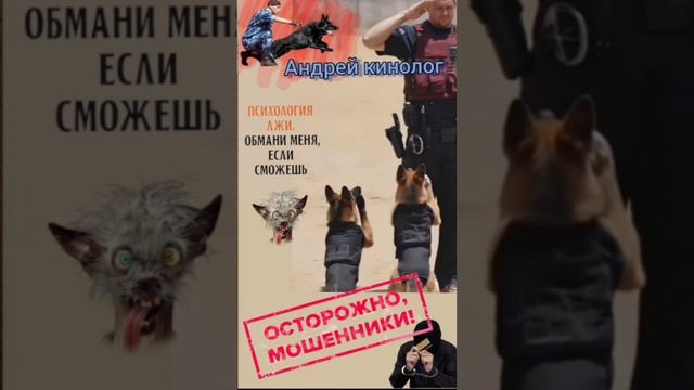 Сборник нечисти от Кинолога
