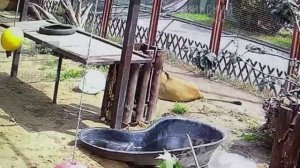 Не наелся, но настроение хорошее 17 07 2025