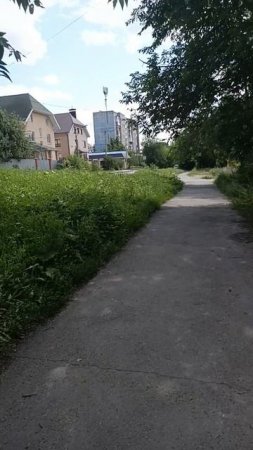 прогулка. давай тоже.