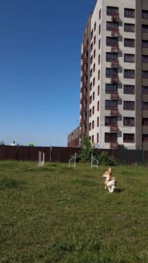 как думаете, кого она в итоге выбрала?