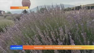 Лаванда – золото турецкой деревни Куюджак