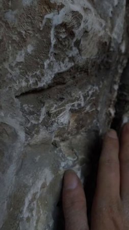 скала в интерьере 
принимаем заказы в тюмени 
89091858786