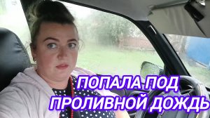 ПОПАЛА ПОД ПРОЛИВНОЙ ДОЖДЬ. ИЗ МАШИНЫ НЕ ВЫЙТИ. УРОЖАЙ ЧЕСНОКА СПАСАЮ. УТЯТИШНЫ