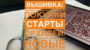 Вышивка - старты, покупки | Орхидеи - новые и старые | 13.07.2025