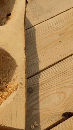 Миска для собаки ЛЧ
