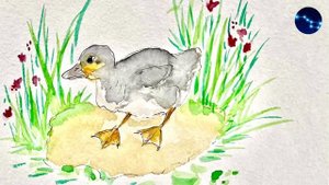 Хромка / Или как крысиное нападение превратило дикую утку в лучшего друга человека / М Пришвин