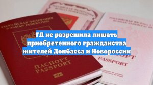 ГД не разрешила лишать приобретенного гражданства жителей Донбасса и Новороссии