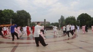 Чжао Лян, известный мастер тайцзи стиля Ян, практикует 85 форм традиционного тайцзи стиля Ян со свои