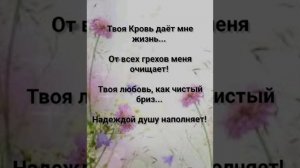 "ТЫ - ЦЕЛИТЕЛЬ МОЙ!!!" Слова, Музыка: Жанна Варламова