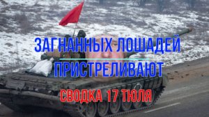 Загнанных лошадей пристреливают, сводка 17 июля