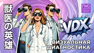 NVC 2025. Секция "Визуальная диагностика"