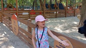 Альпака парк в Ростове-на-Дону