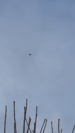 Русская "Герань" пролетает над линией боевого соприкосновения где-то в зоне проведения СВО !!!