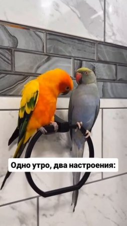 Добавим 🔥🔥в свою жизнь