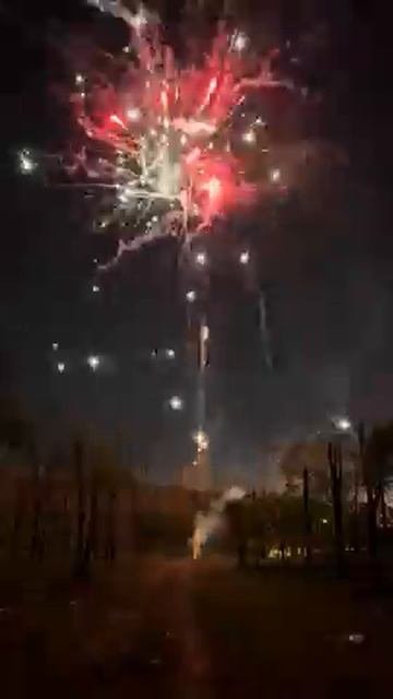 FP-B231 Рок-н-ролл