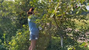 Выходные в деревне🚘Вода в речке🔥Готовлю ужин🥘Собираем ягоды🍒Отдых с семьёй🧑🧑🧒🧒 #tatianaki