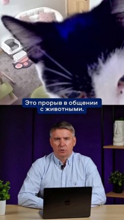 ИИ НАУЧИТСЯ ПОНИМАТЬ ЖИВОТНЫХ #искусственныйинтеллект #нейросети #ии